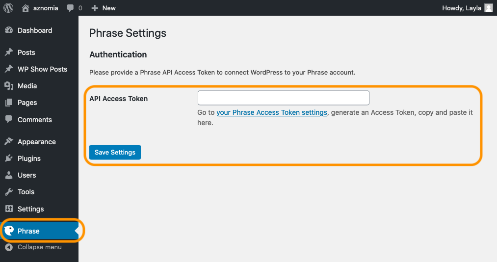 Entering our API access token into the Phrase plugin in WordPress | Phrase 