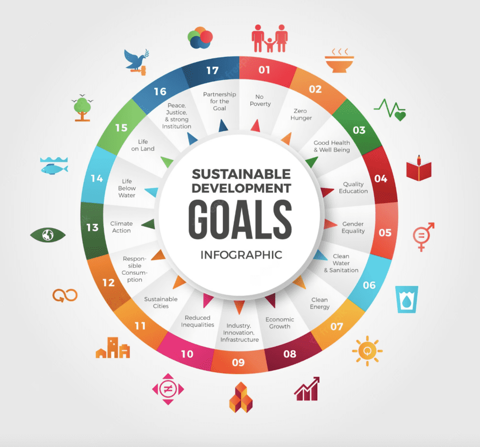 The United Nations’ Sustainable Development Goals (SDGs)